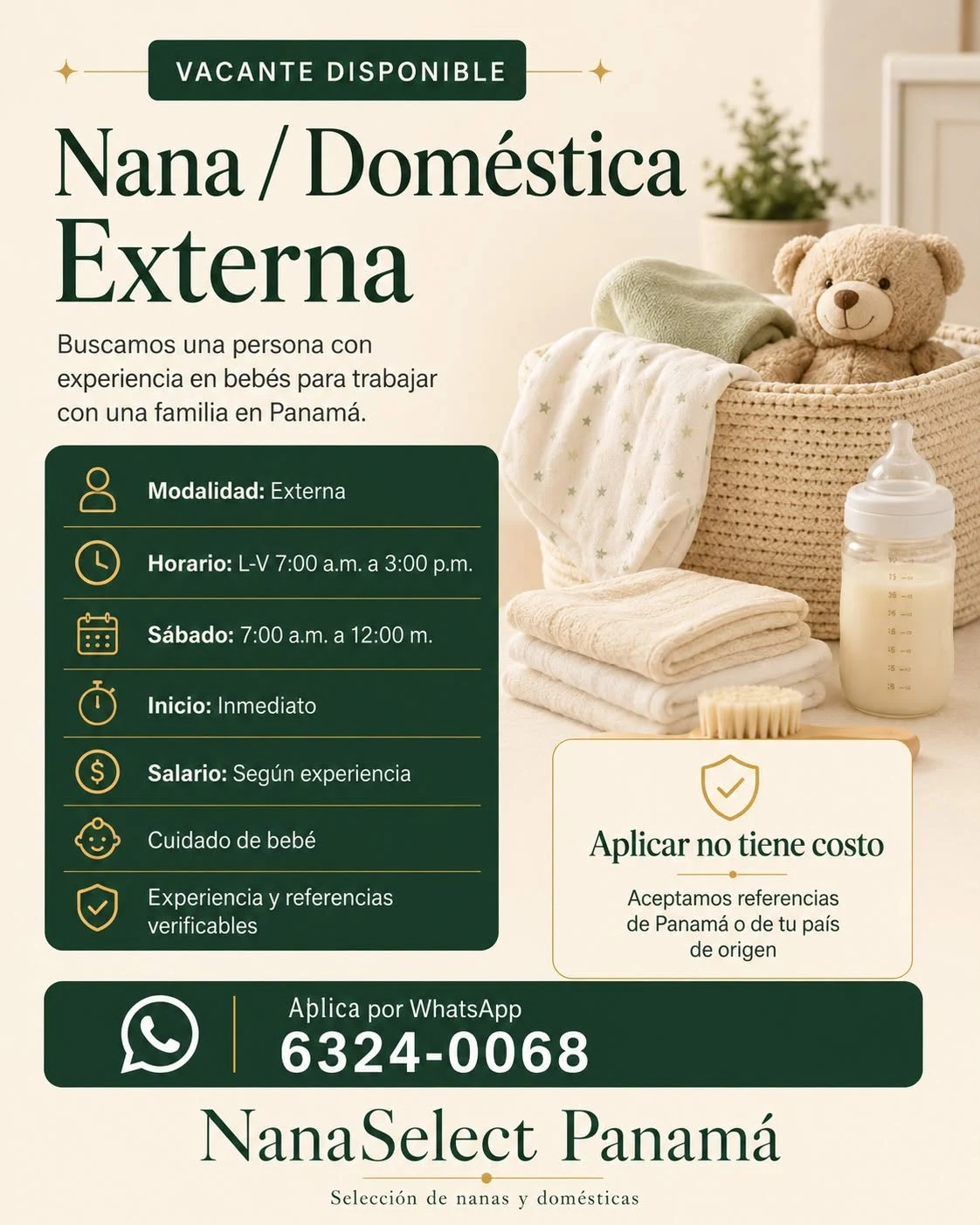 Imagen original de la oferta de Nana/Doméstica externa en NanaSelect