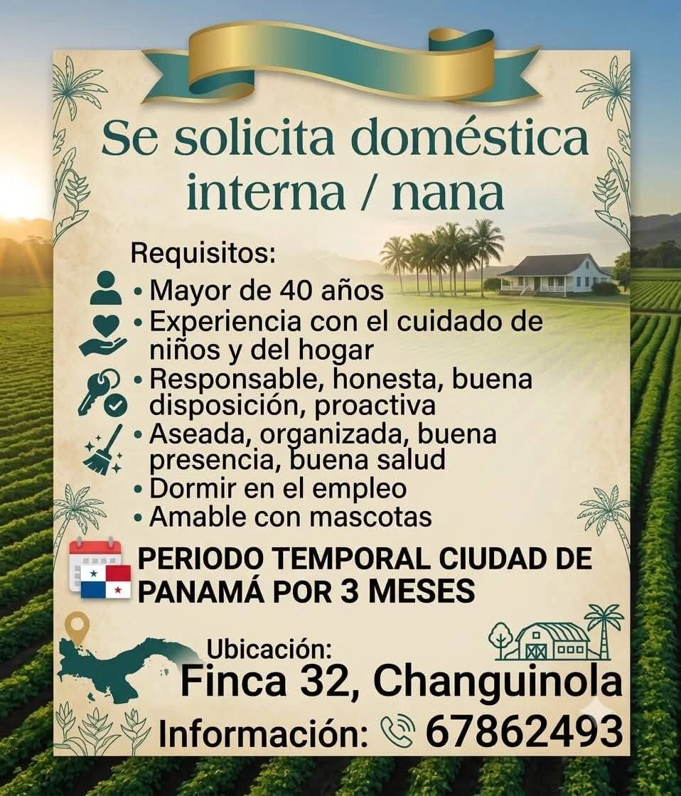 Imagen original de la oferta de doméstica interna / nana en Finca 32,